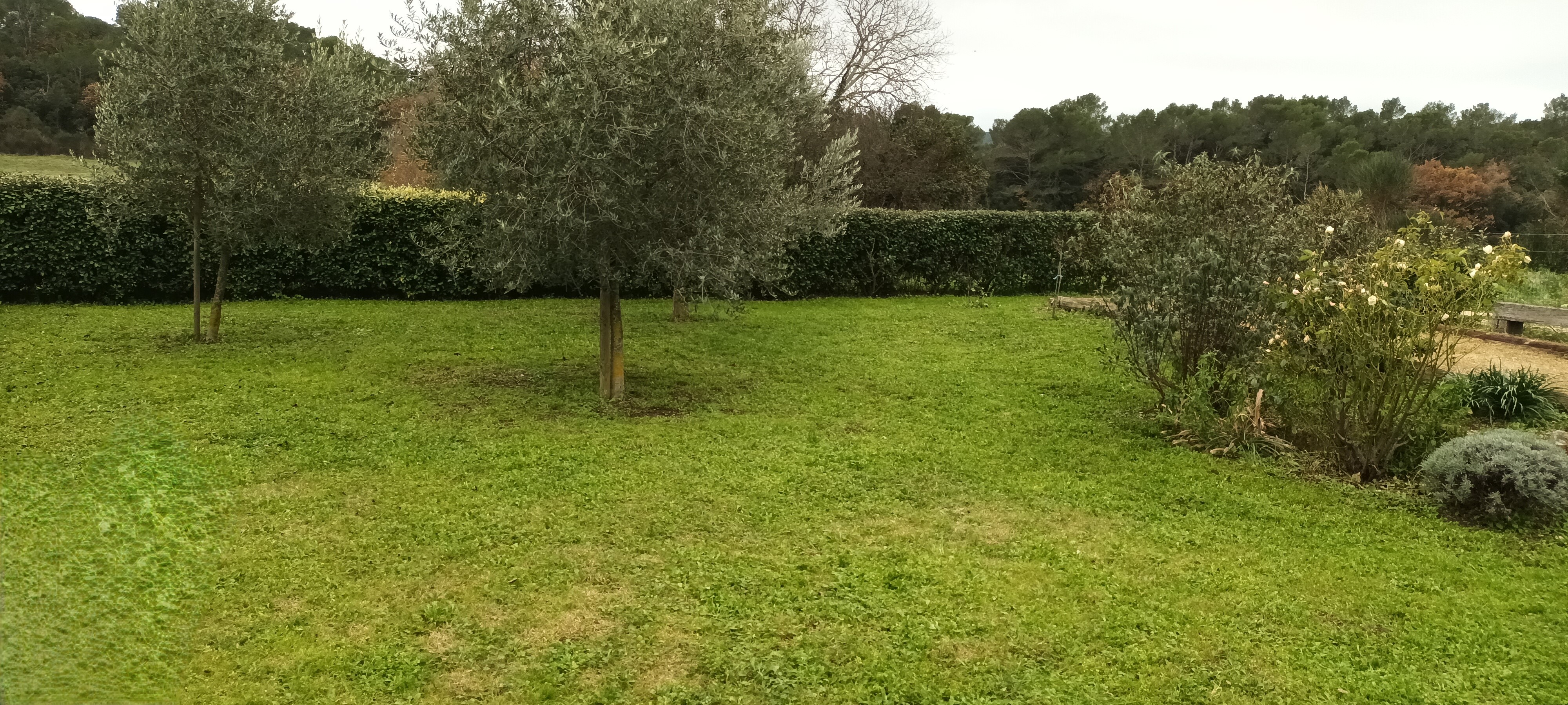 Service tonte de pelouse 84 entre particuliers