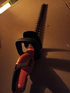 Location : taille haie