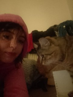 Service : garde animaux Service : garde animaux