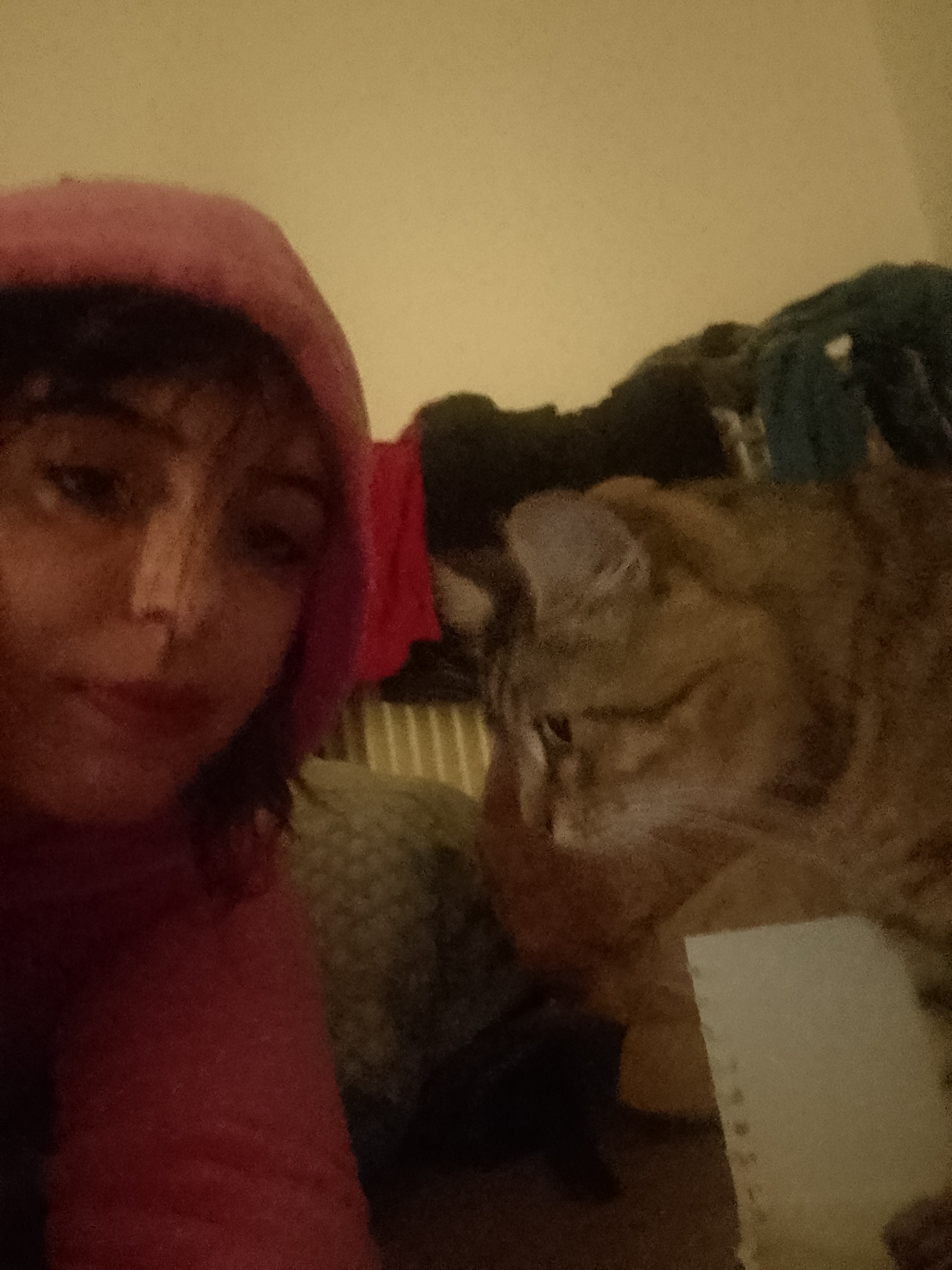 Service garde animaux 28 entre particuliers