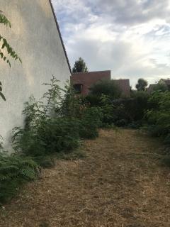 Service : entretien jardin Service : entretien jardin