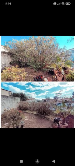 Service : paysagiste