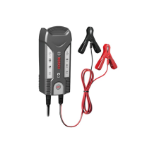 Location : chargeur de batterie