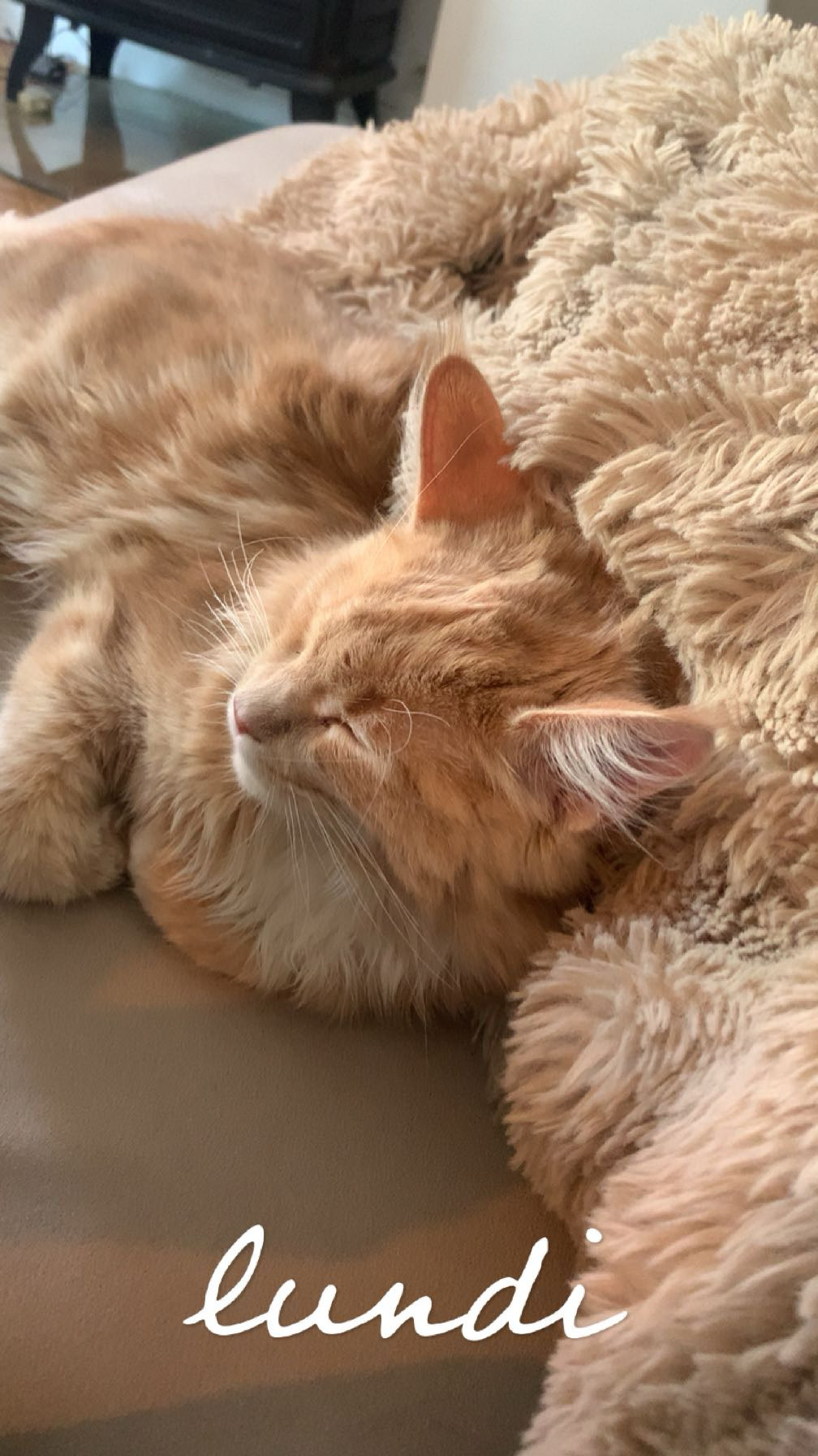 Service chat 60 entre particuliers