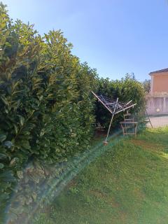 Service : taille de haies Service : taille de haies