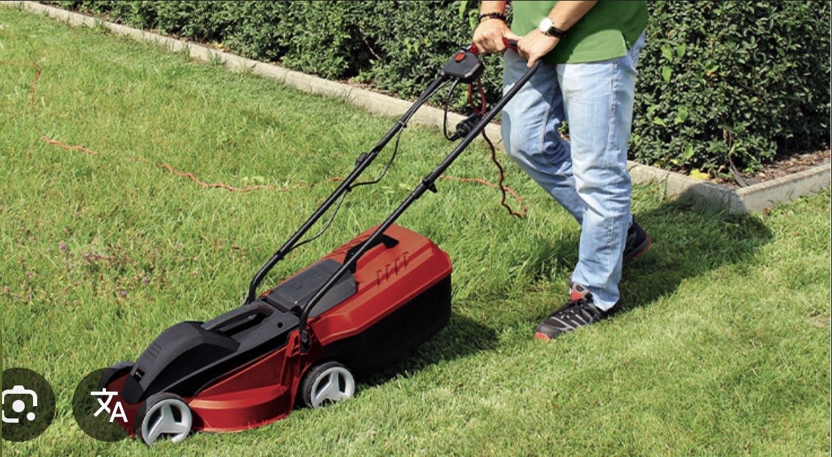 Service taille de haies 73 entre particuliers