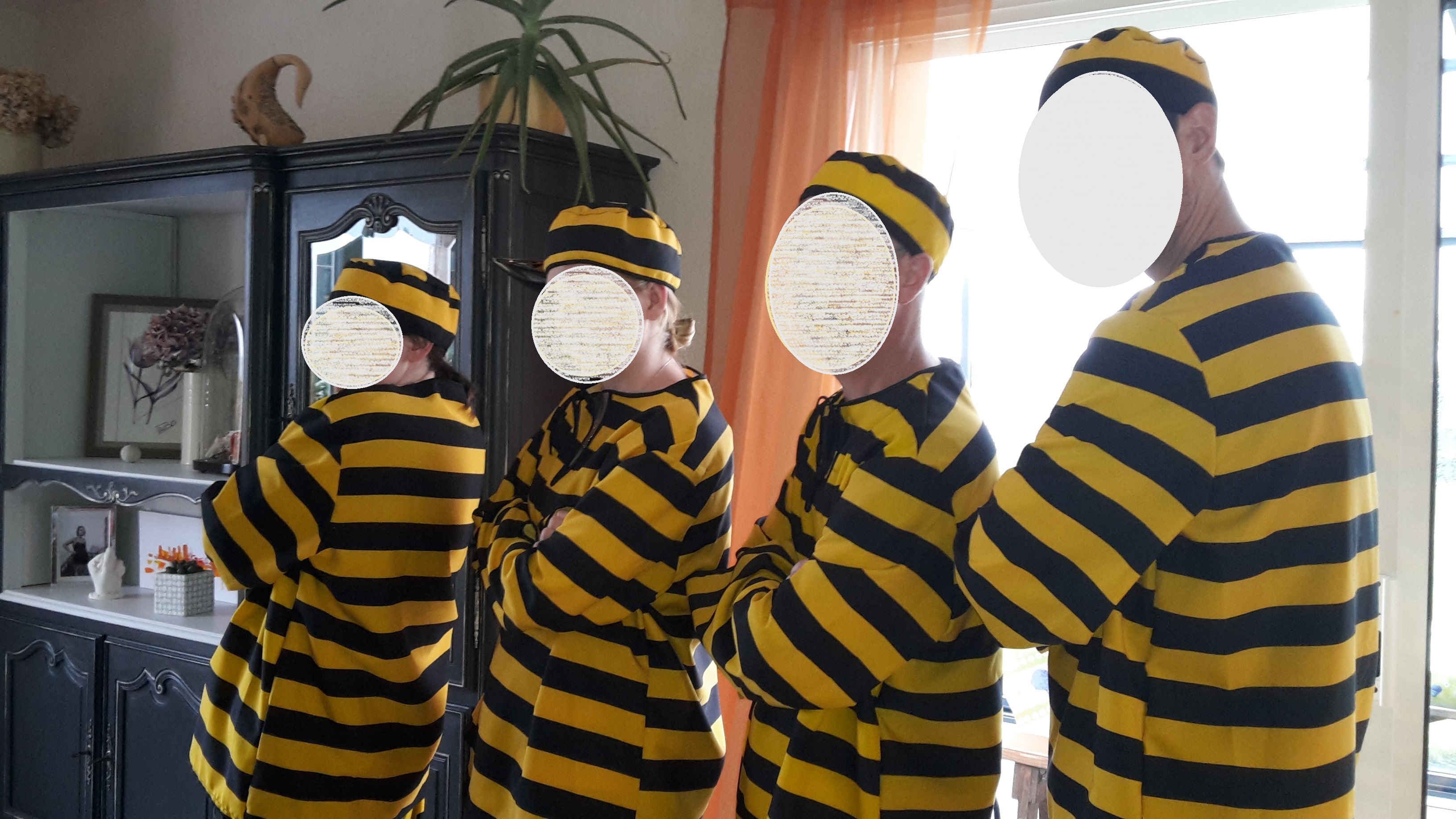 Location deguisement 44 entre particuliers