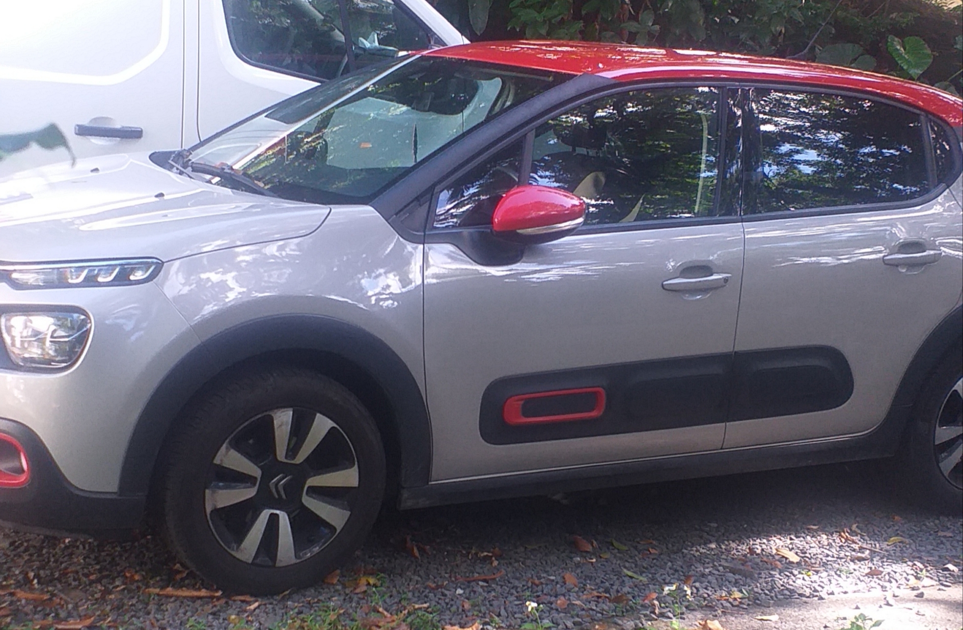 Location voiture sans permis 97 entre particuliers