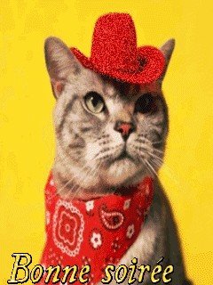 Location : chambre en colocation Location : chambre en colocation