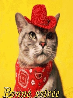 Location chambre en colocation 95 entre particuliers