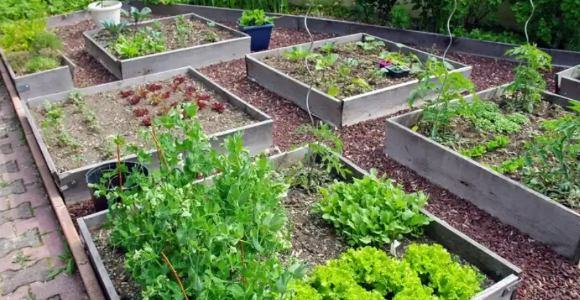 Location jardin potager 93 entre particuliers