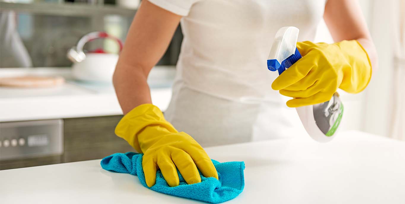 Service aide menagere 59 entre particuliers