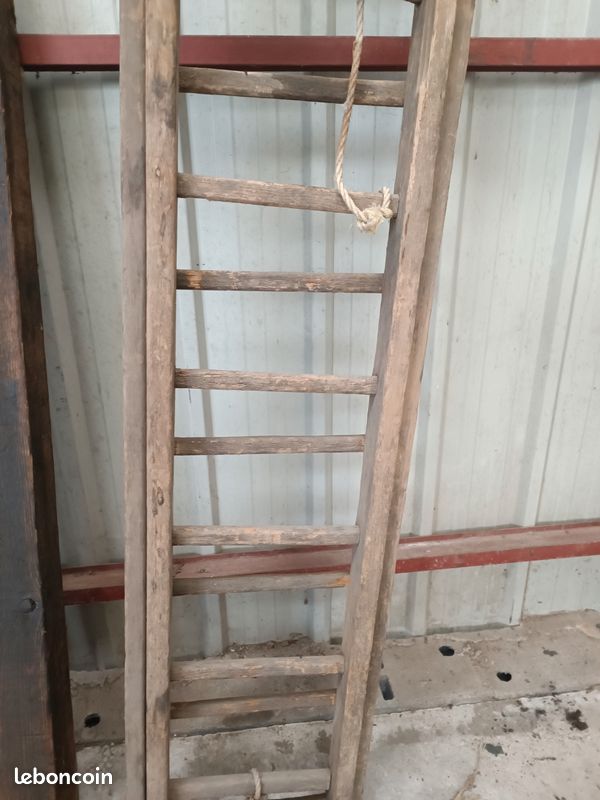 Location echelle 49 entre particuliers