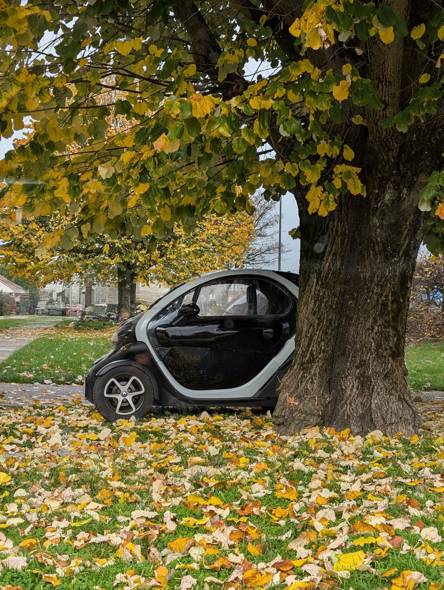 Location voiture sans permis 01 entre particuliers