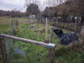 Location : jardin potager Location : jardin potager