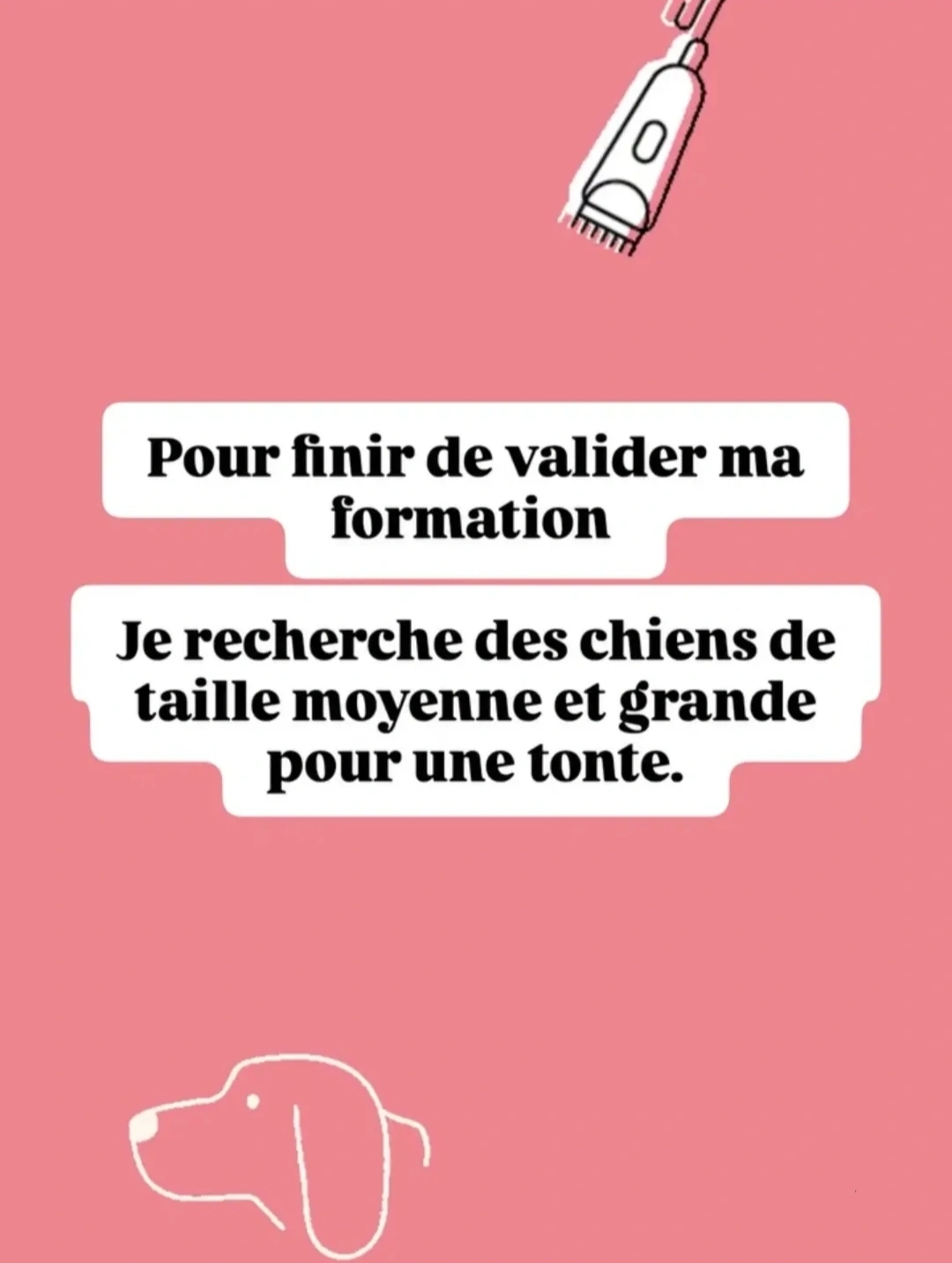 Service toilettage chien 58 entre particuliers