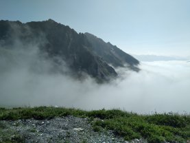 Location : chambre en colocation Location : chambre en colocation