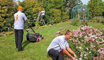 Service : entretien jardin