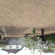 Location : rouleau a gazon