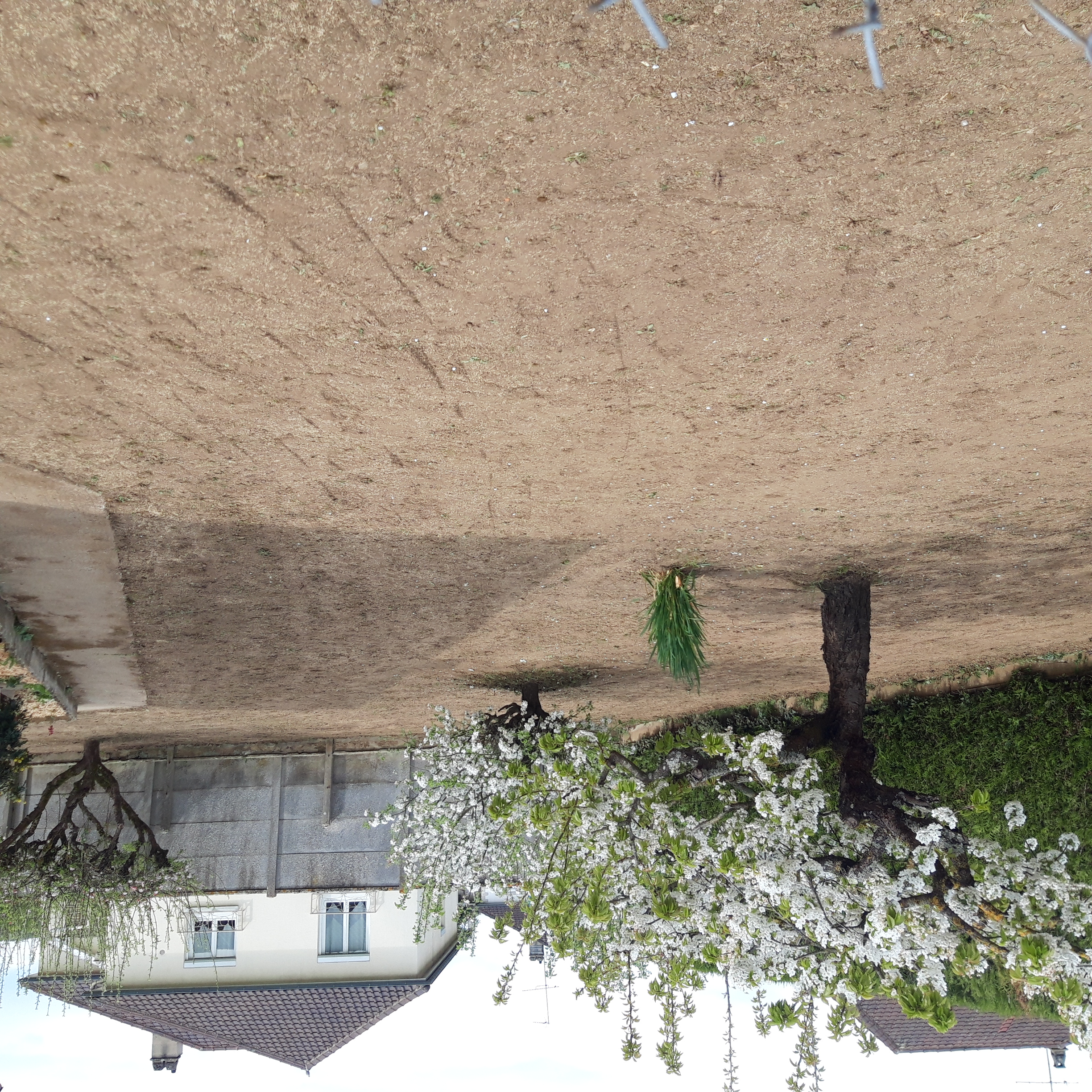 Location rouleau a gazon 27 entre particuliers