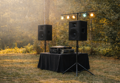 Location sono 31 entre particuliers