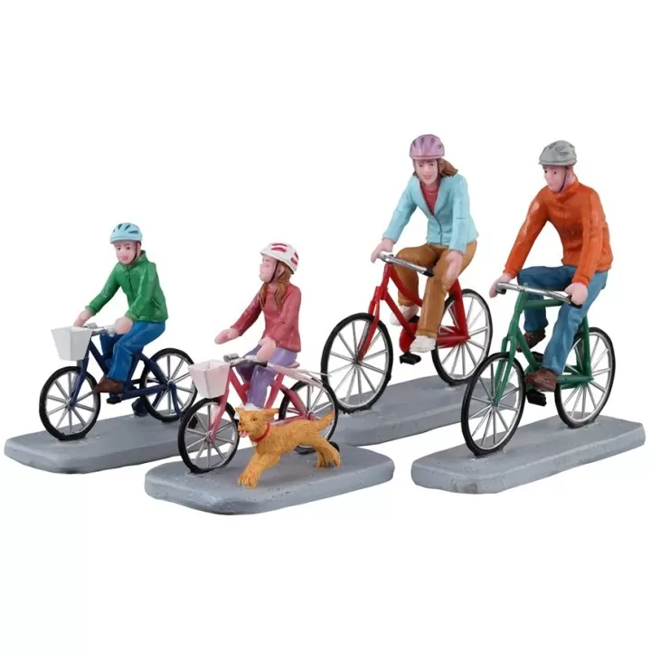 Location porte velo entre particuliers (35)