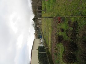 Location : jardin potager Location : jardin potager