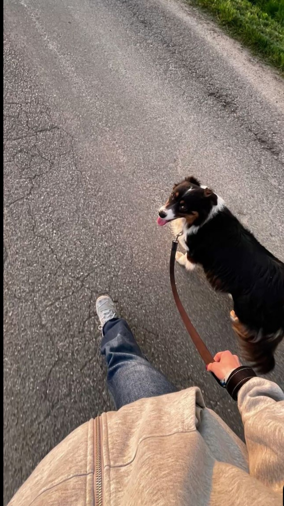 Service garde lapin 56 entre particuliers