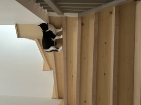 Service : chat Service : chat