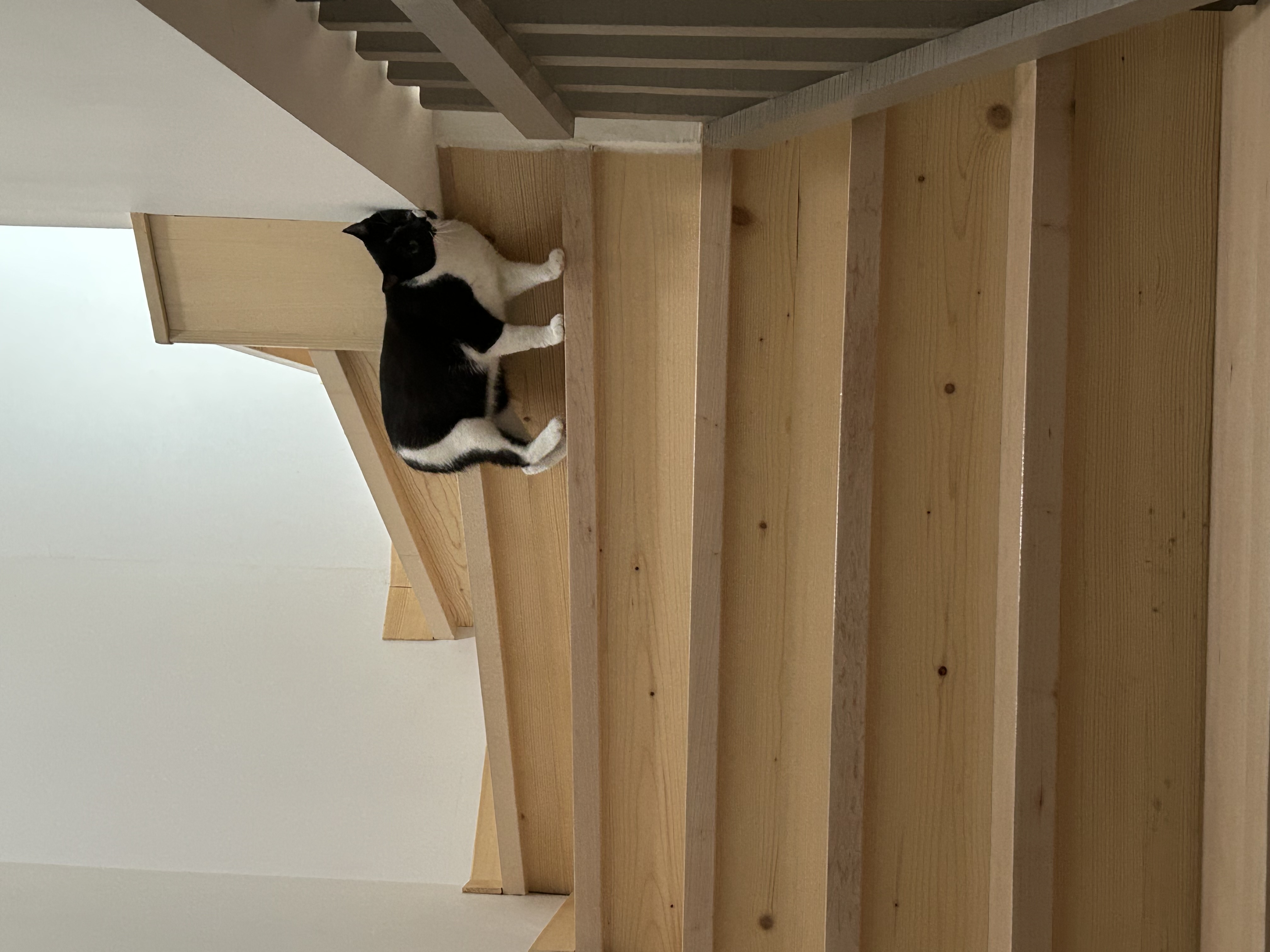 Service chat 39 entre particuliers