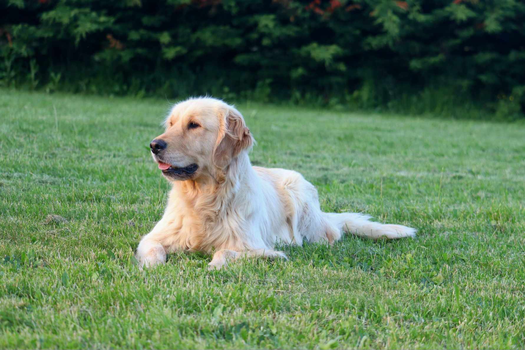 Location jardin 75 entre particuliers