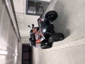 Location : quad Location : quad