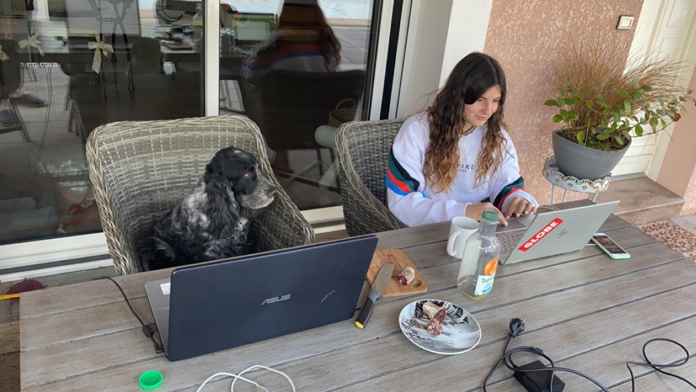 Service garde animaux 64 entre particuliers