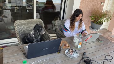 Service : promeneur chien Service : promeneur chien