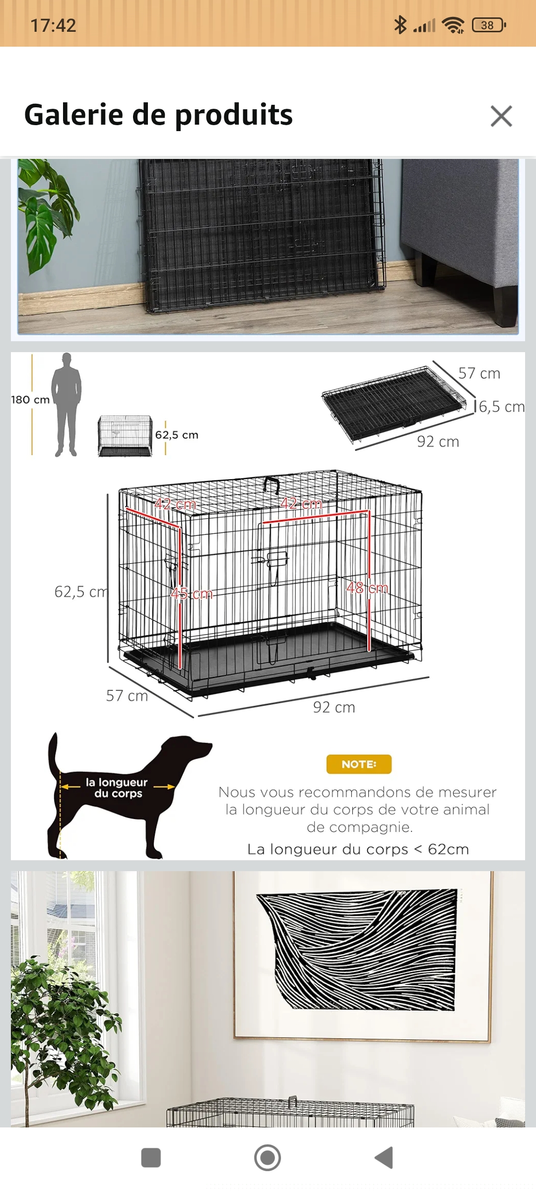 Location cage transport animaux 44 entre particuliers