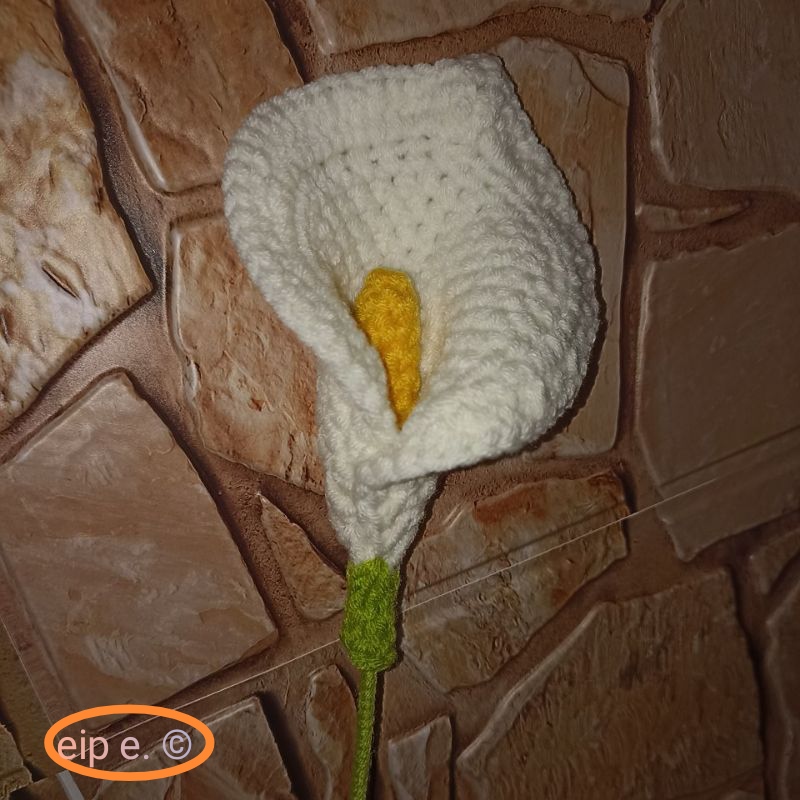 Service apprendre la couture 49 entre particuliers