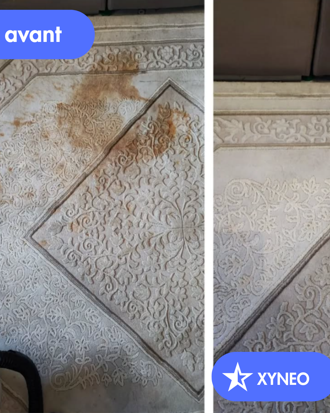 Service nettoyage moquette 01 entre particuliers