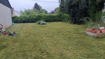 Service : entretien jardin