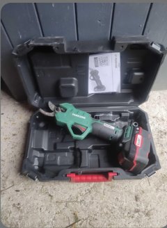 Location : coupe branches