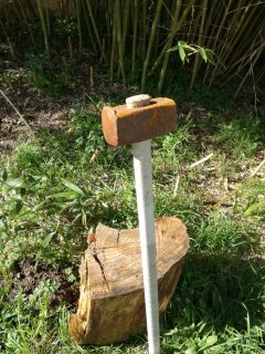 Service : coupe de bois