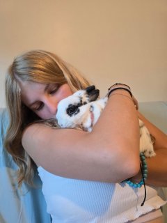 Service : garde animaux