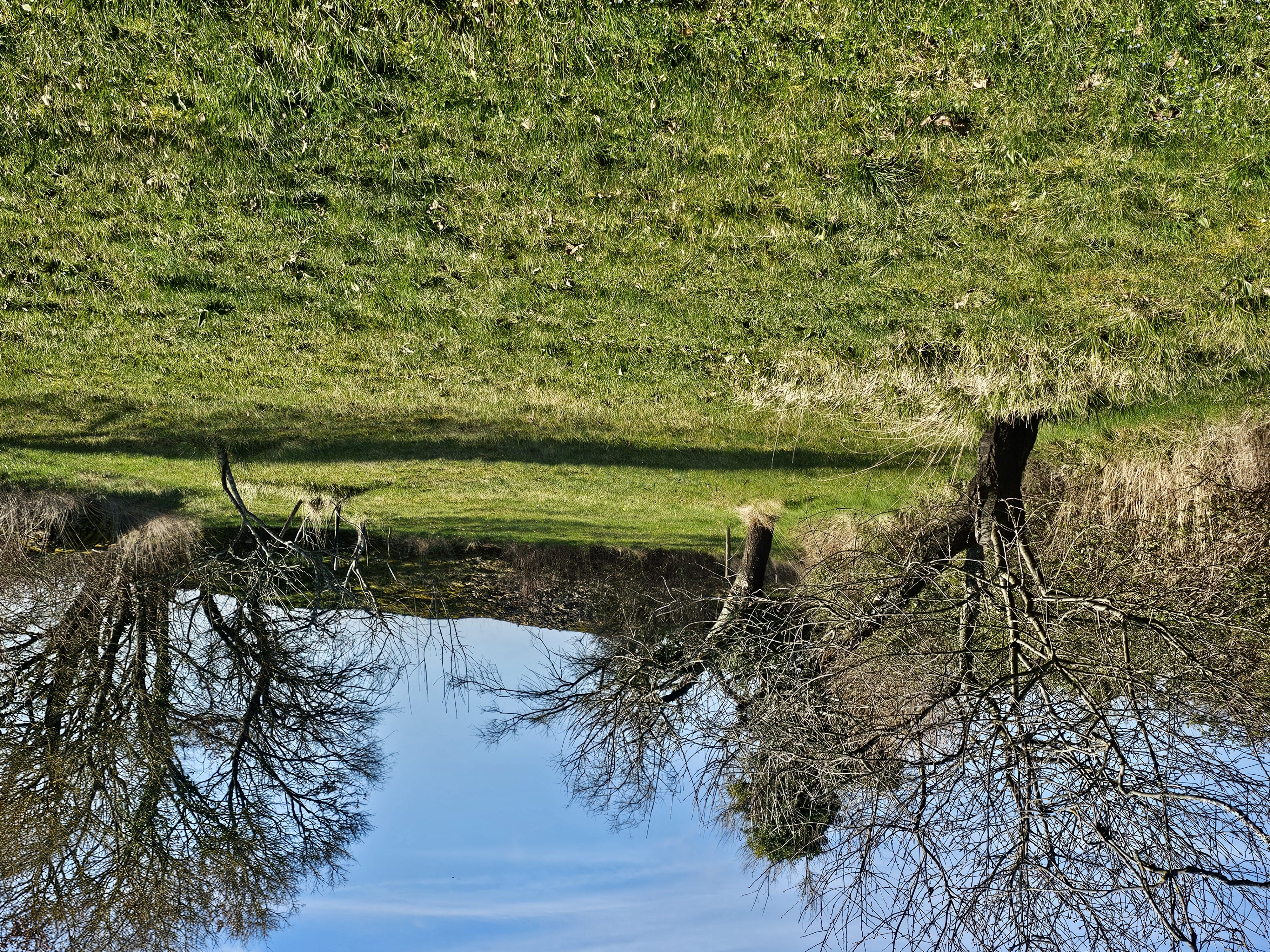 Service entretien jardin 71 entre particuliers