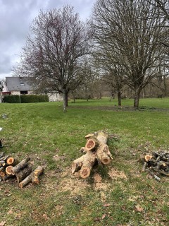 Location : tronconneuse