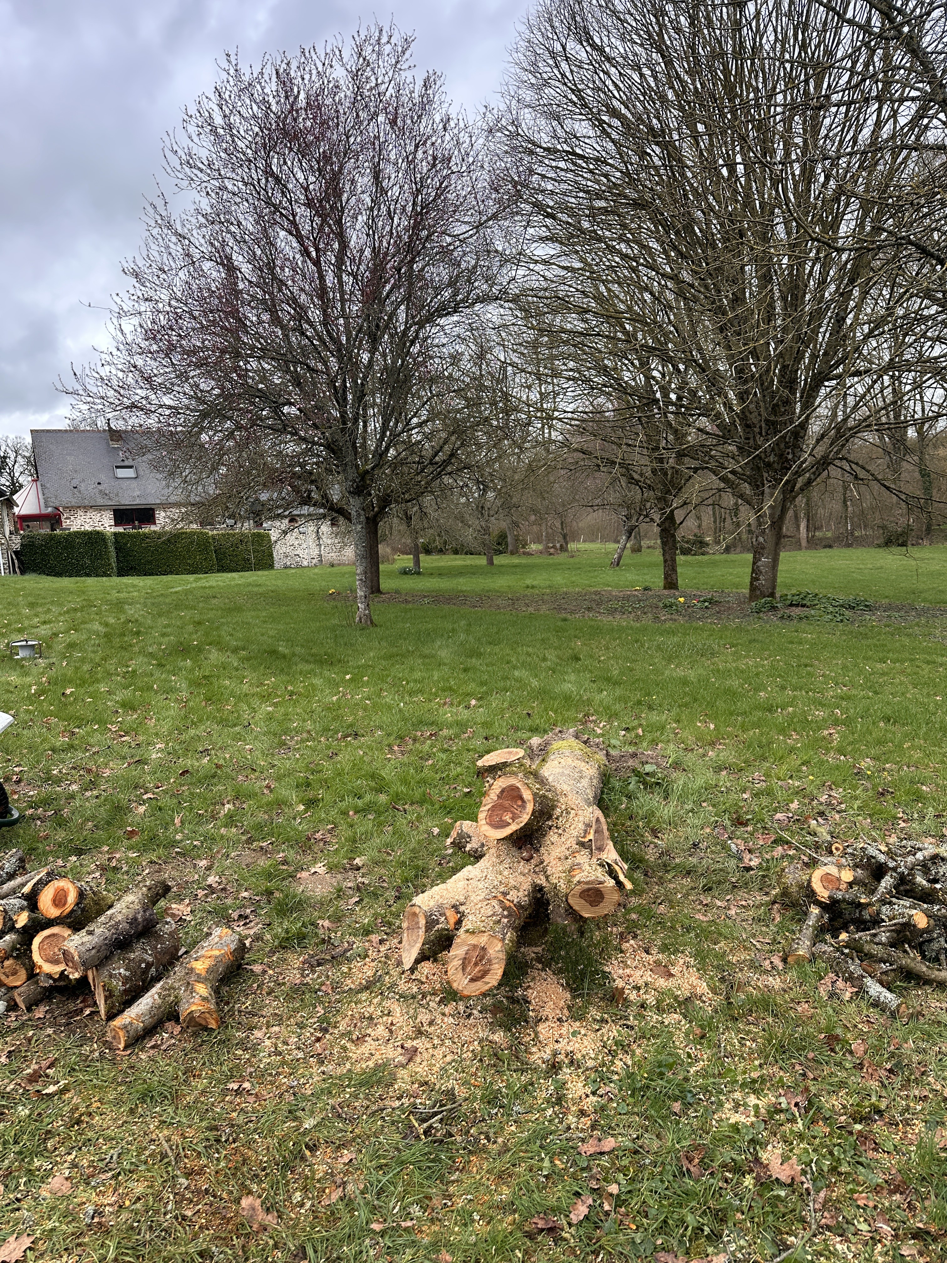 Location tronconneuse 53 entre particuliers