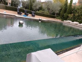 Service : entretien jardin