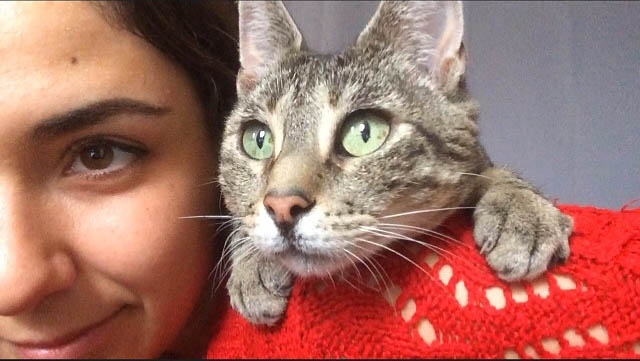 Service garde animaux 03 entre particuliers