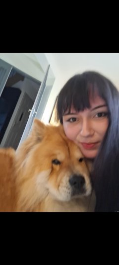 Service : garde animaux Service : garde animaux