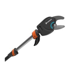 Location : coupe branches