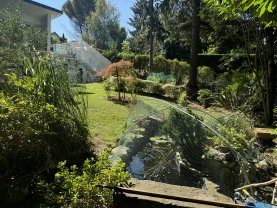 Service : entretien espace vert