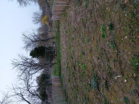 Service : jardinage Service : jardinage